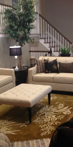 D&D Design Solutions Gallery